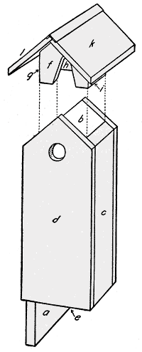 House Plan Designs on Free Bird House Plans Free Bird House Plans