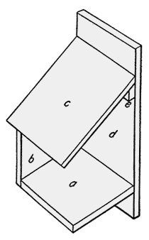 Phoebe bird house plan