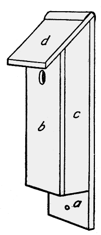 Bird House Plans