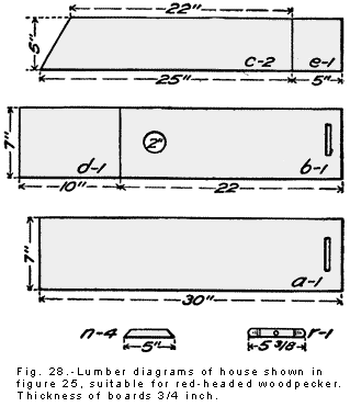 Pileated Woodpecker Bird House Plans